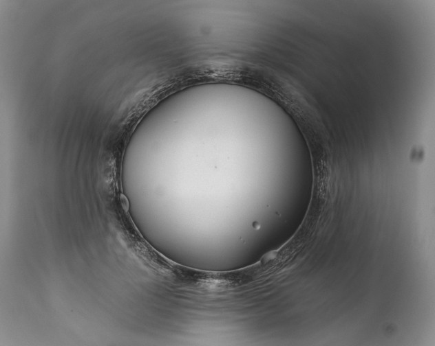 X0000110930748200907021523