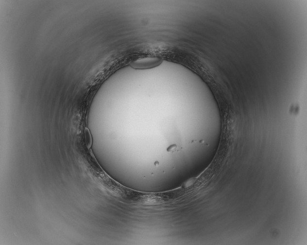 X0000110930750200907021523