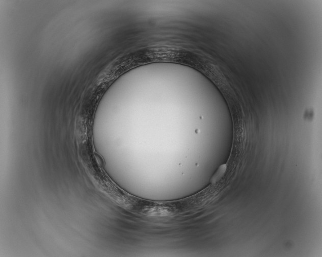 X0000110930751200907021523