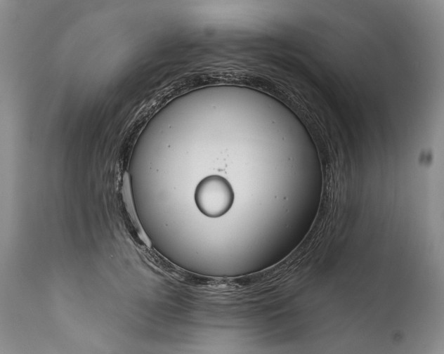X0000110930752200907021523