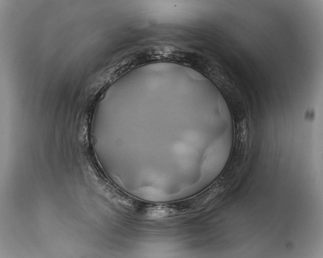 X0000110930754200907021523