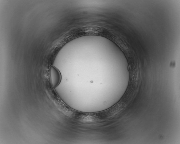 X0000110930755200907021523