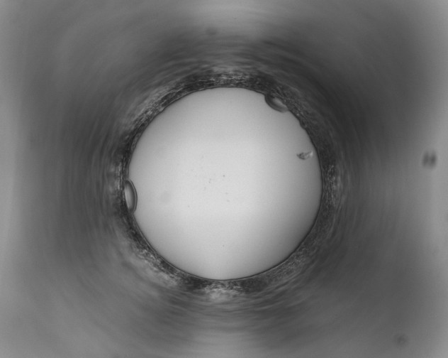 X0000110930756200907021523