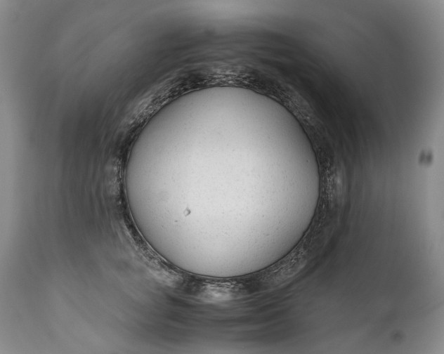 X0000110930757200907021523