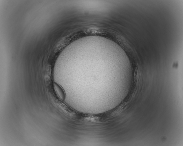 X0000110930760200907021523