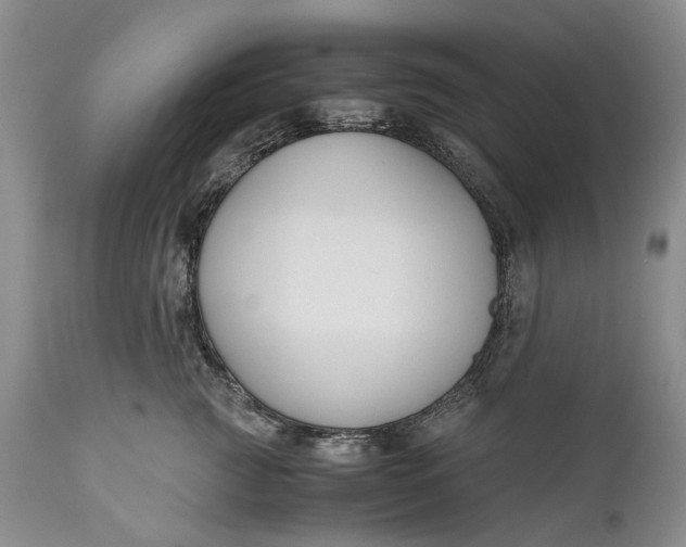 X0000110930761200907021523