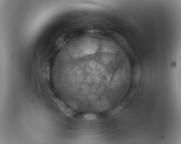 X0000110930762200907021523