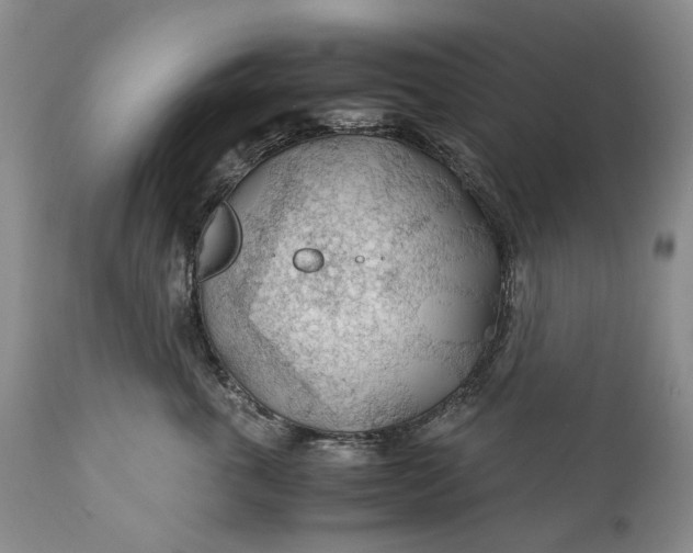 X0000110930763200907021523