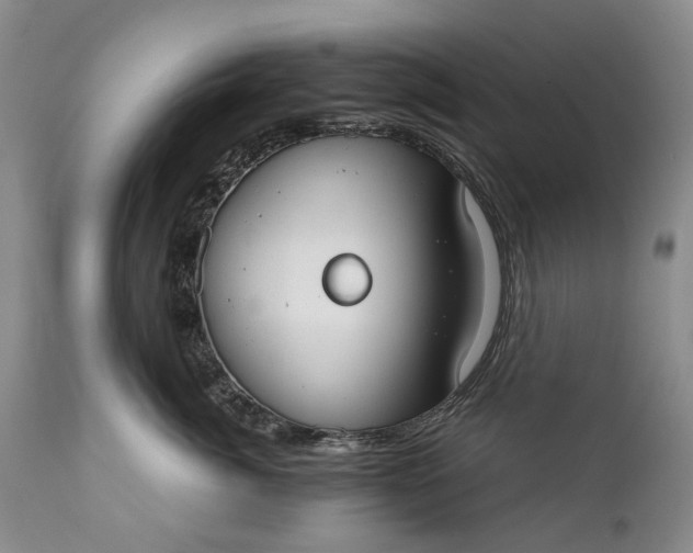 X0000110930764200907021523