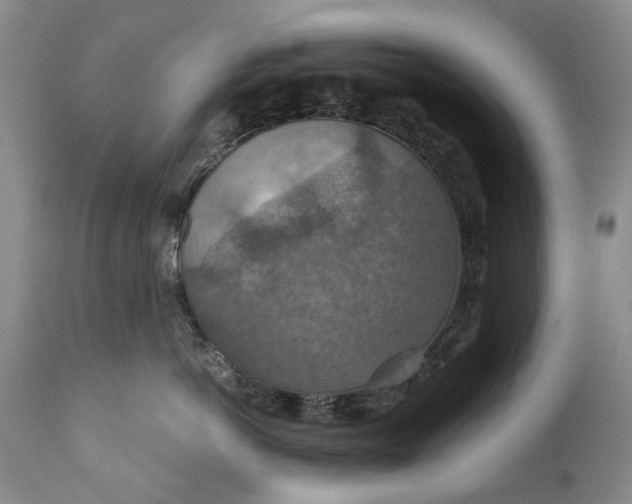 X0000110930766200907021523