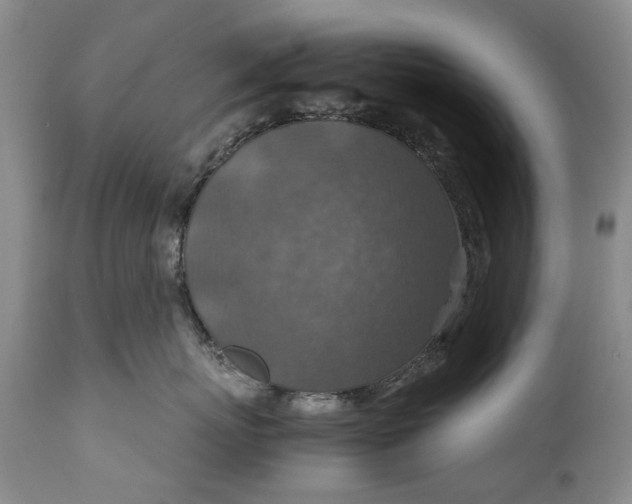 X0000110930767200907021523