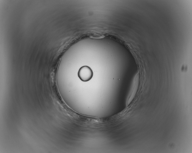 X0000110930768200907021523