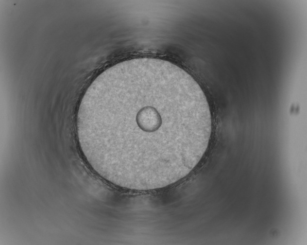 X0000110930769200907021522