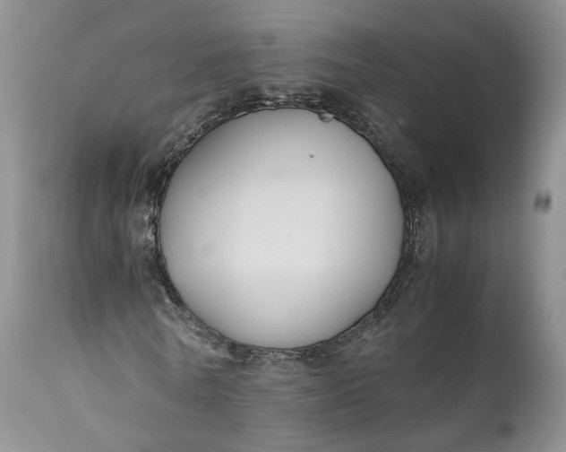 X0000110930770200907021522