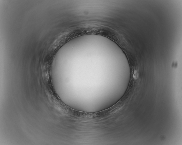 X0000110930771200907021522