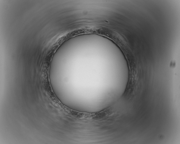 X0000110930773200907021522