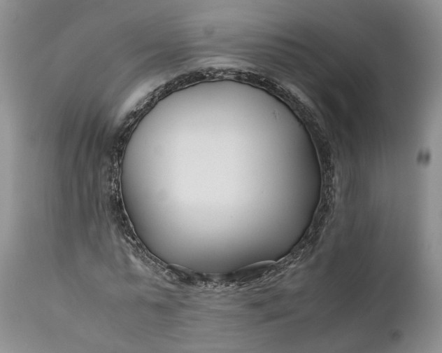 X0000110930775200907021522