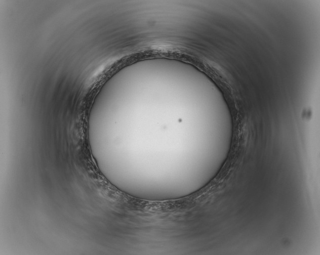 X0000110930776200907021522