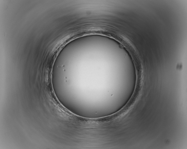 X0000110930777200907021522