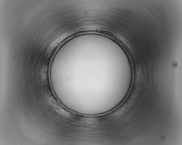 X0000110930778200907021522