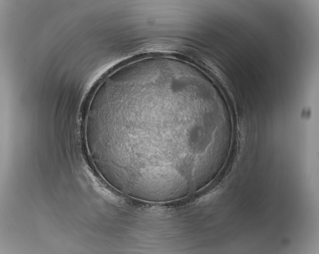 X0000110930779200907021522