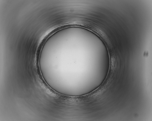 X0000110930780200907021522