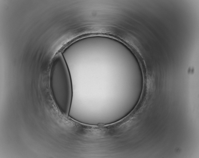 X0000110930781200907021522