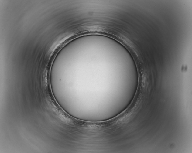 X0000110930782200907021522