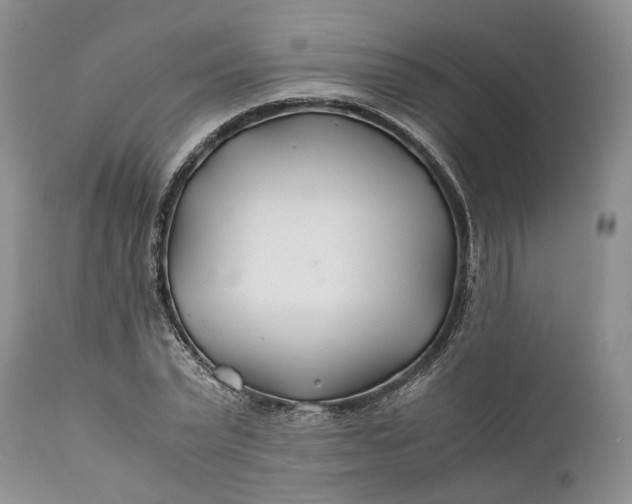 X0000110930783200907021522