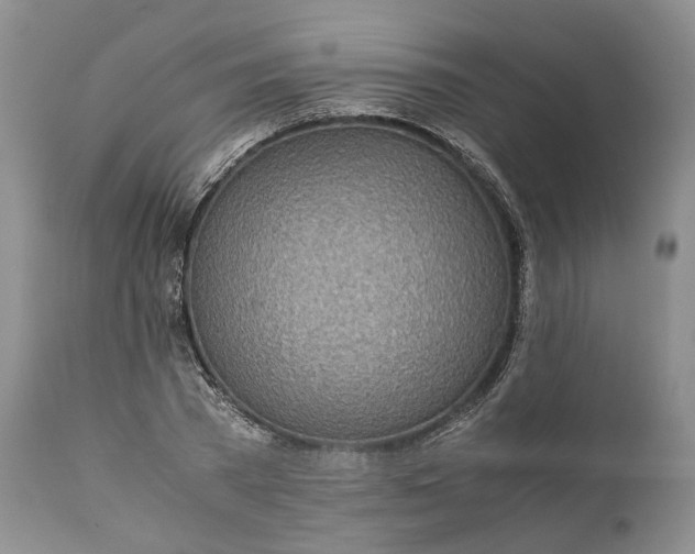 X0000110930785200907021522