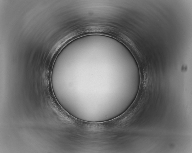 X0000110930786200907021522