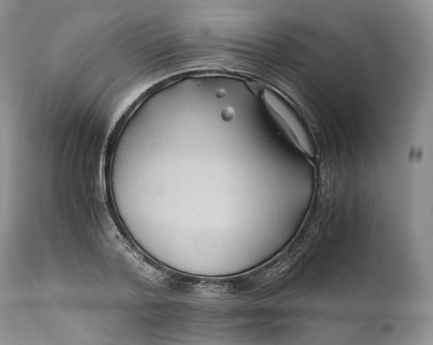 X0000110930788200907021522