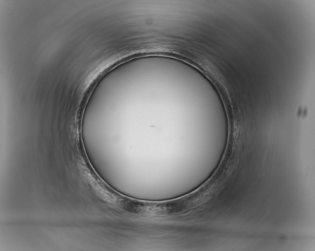 X0000110930789200907021522