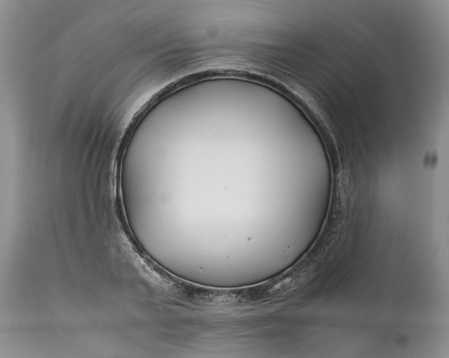 X0000110930791200907021522