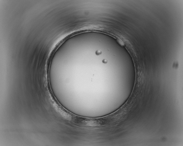 X0000110930792200907021522