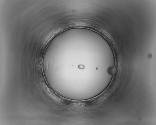 X0000110930793200907021522