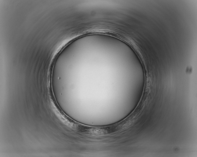 X0000110930795200907021522