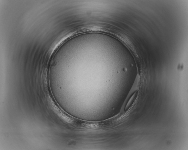 X0000110930798200907021522