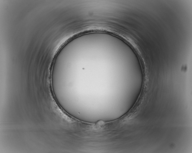 X0000110930799200907021522