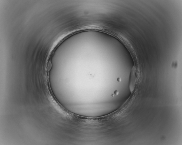 X0000110930800200907021522