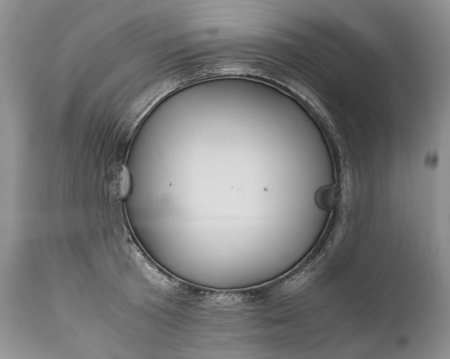 X0000110930801200907021522