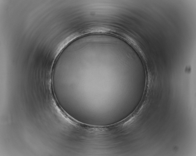 X0000110930802200907021522