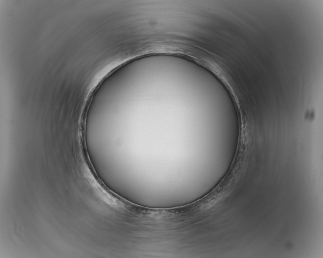 X0000110930803200907021522