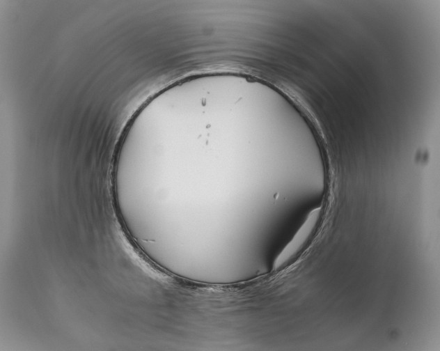 X0000110930805200907021522