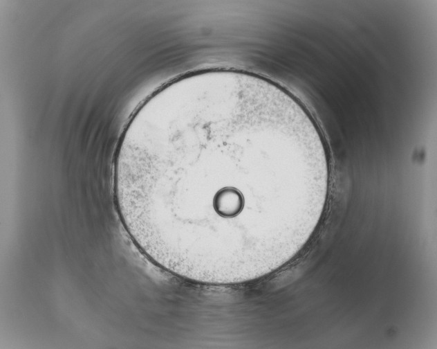 X0000110930807200907021522