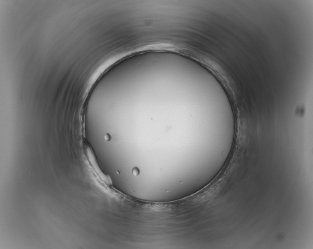 X0000110930808200907021522