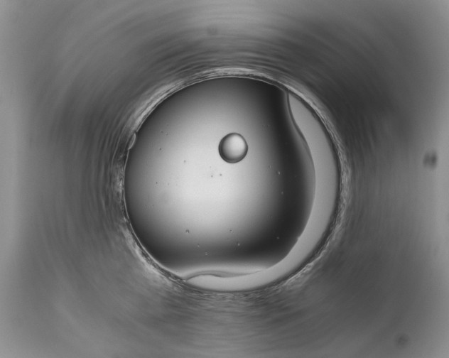 X0000110930809200907021522