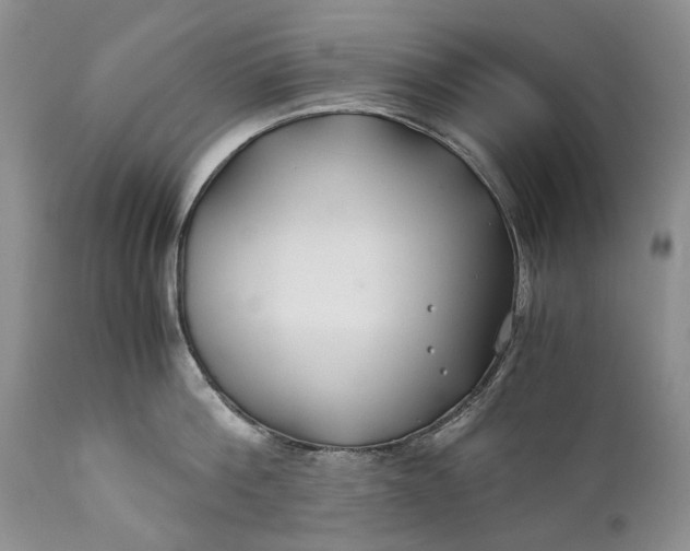X0000110930812200907021522