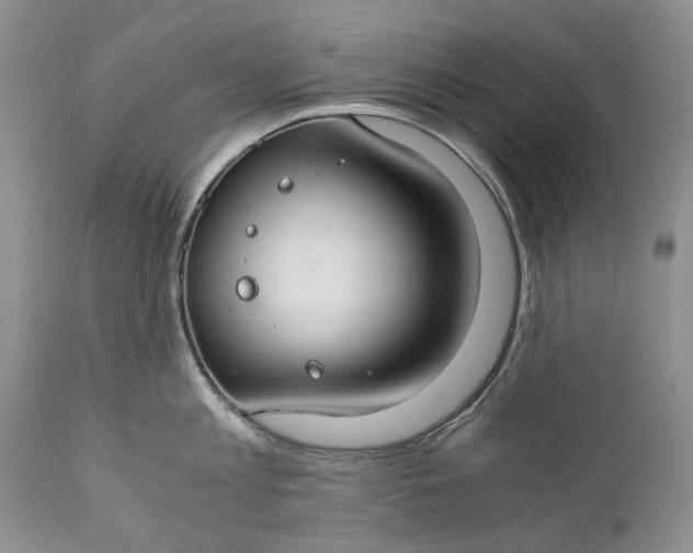 X0000110930813200907021522
