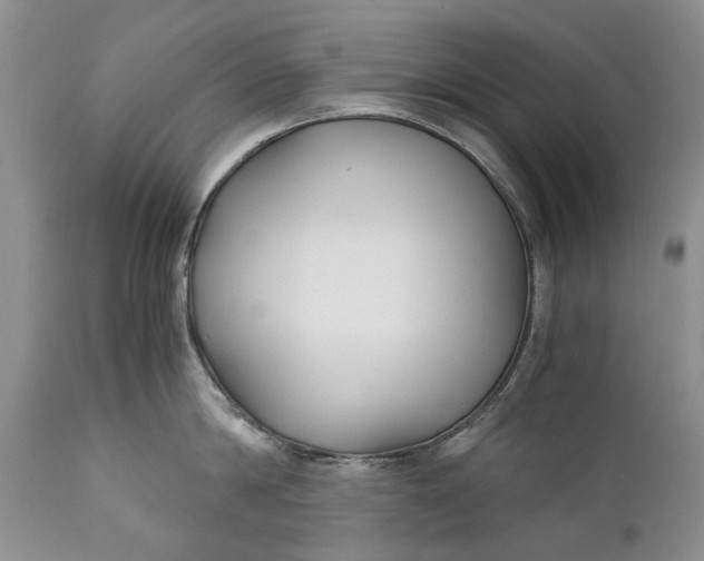 X0000110930814200907021522